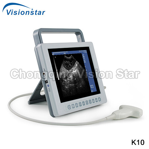 K10 Veterinary B Mode Portable Laptop Ultrasound Scanner