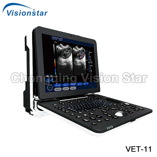 VET-11 4D Color Doppler Portable Laptop Veterinary Ultrasound