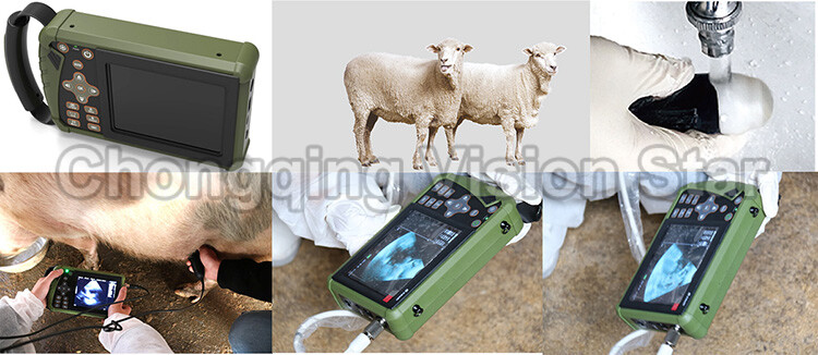 TIANCHI veterinary ultrasound machine TC-210 handheld vet ultrasound s –  Veterinary Ultrasounds